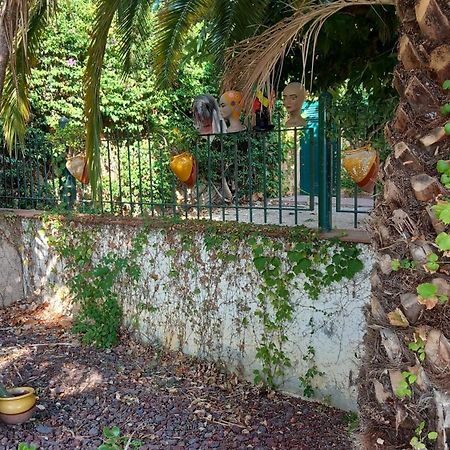 Appartement & Spa - Panoramic Olivars Pau ภายนอก รูปภาพ